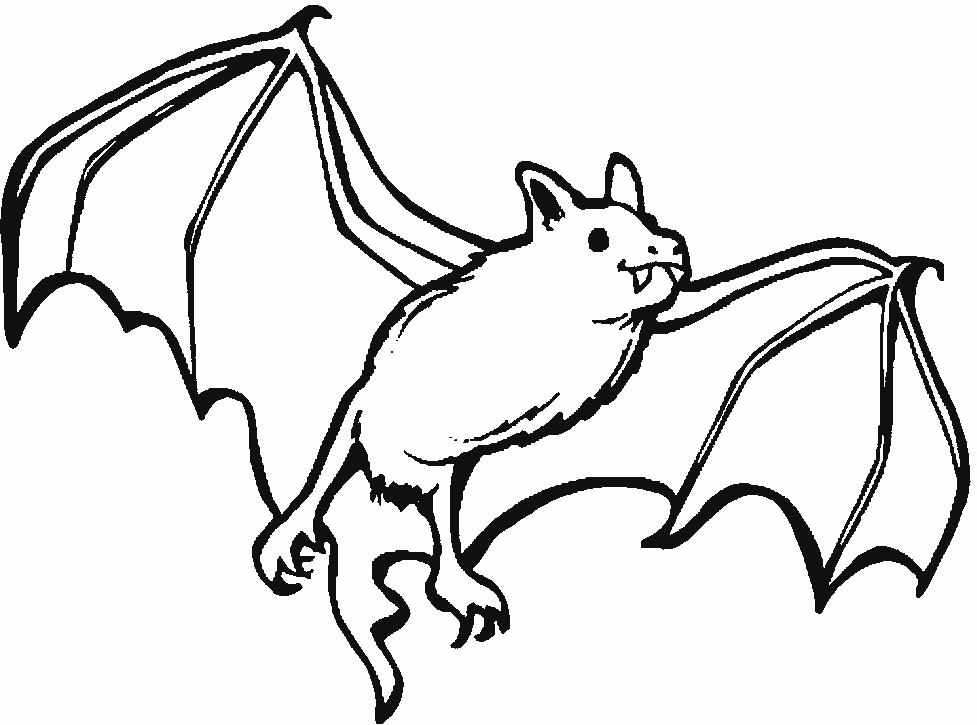 coloriage chauve souris volante